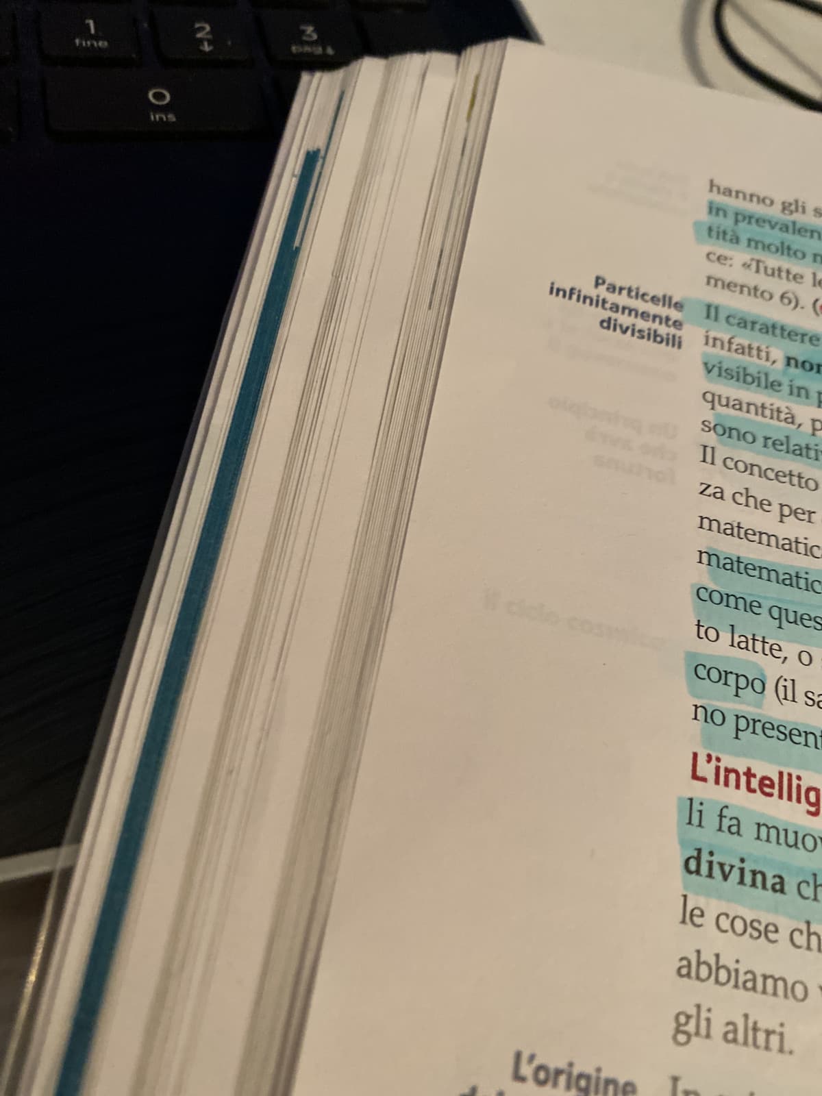 stufetta sotto la scrivania e appunti al pc rendono filosofia una materia gradevole. Poi doverla studiare è un’altra storia. 