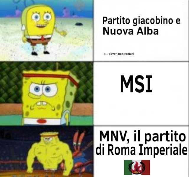 Votate Movimento Nazionale Vestista e ricreiamo l'impero (descrizione)