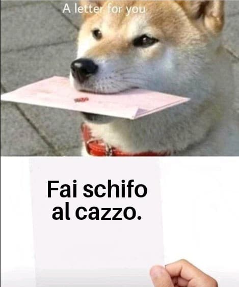 Me ne farò una ragione, cagna.