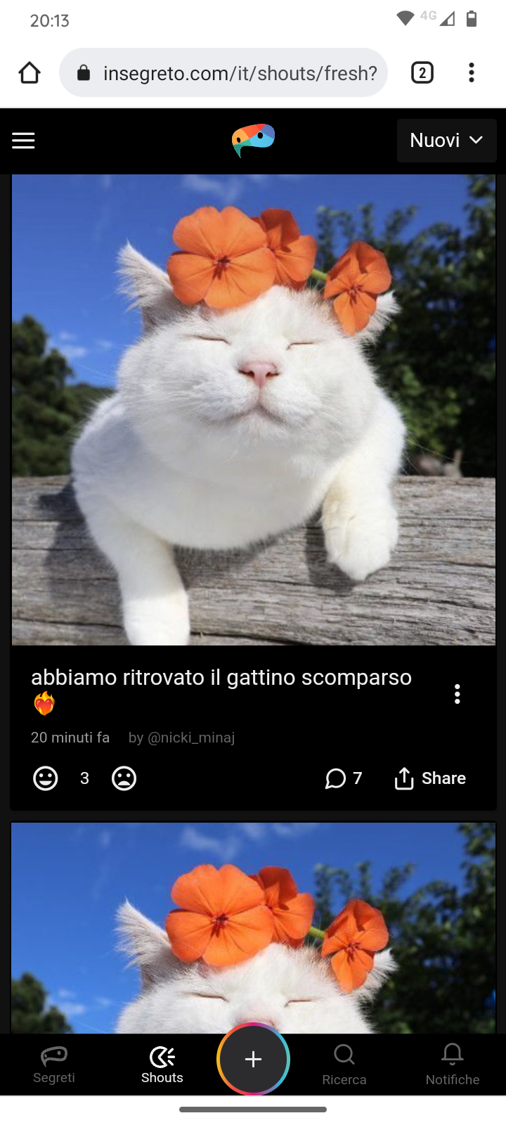 No ragazzi mi hanno rubato il micko