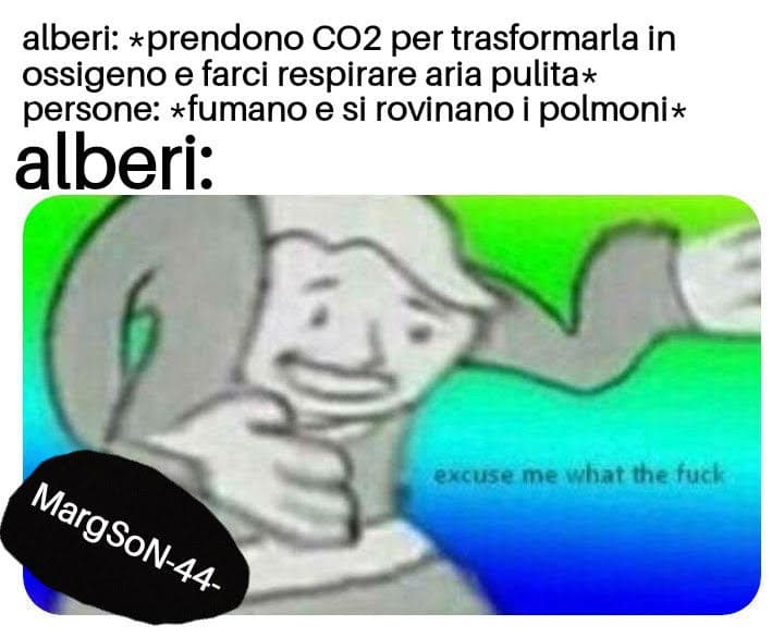 Poveri alberi confusi