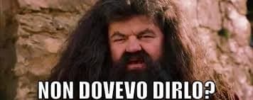 Quando a scuola ti danno del grasso ma tuti difendi dicendo che è solo pelo