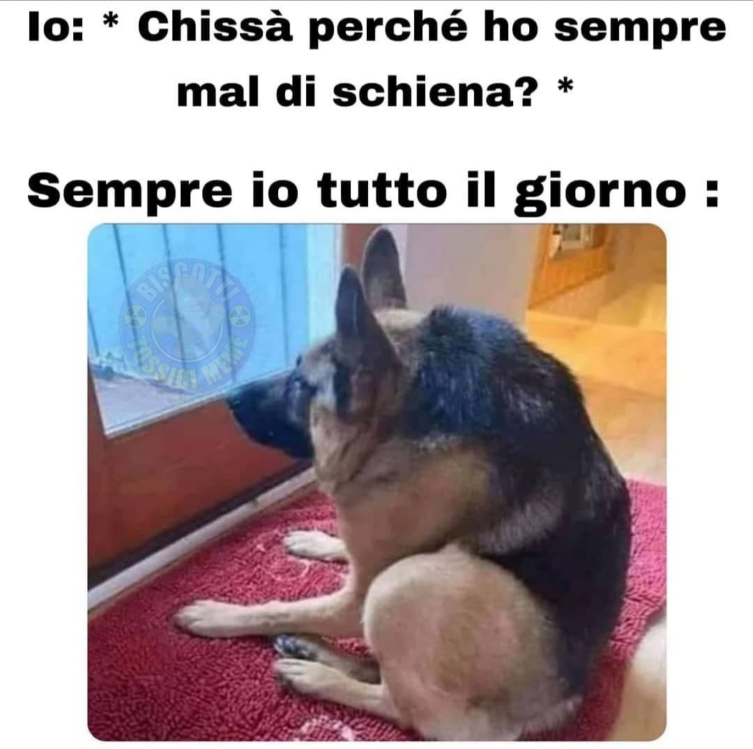 Chissà 