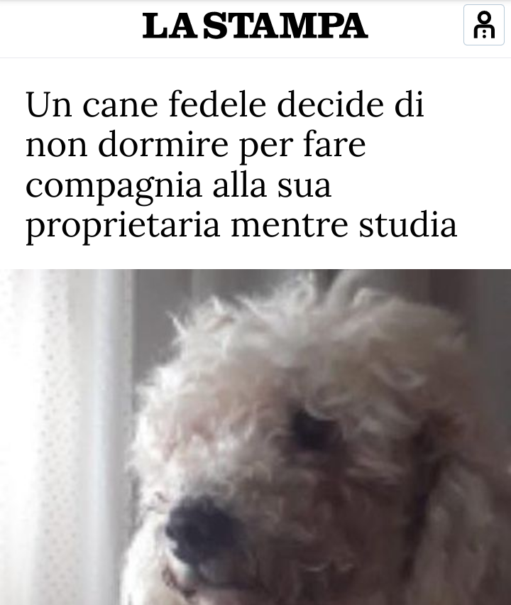 Porino, fosse stato il mio cane non avrebbe dovuto più. lol