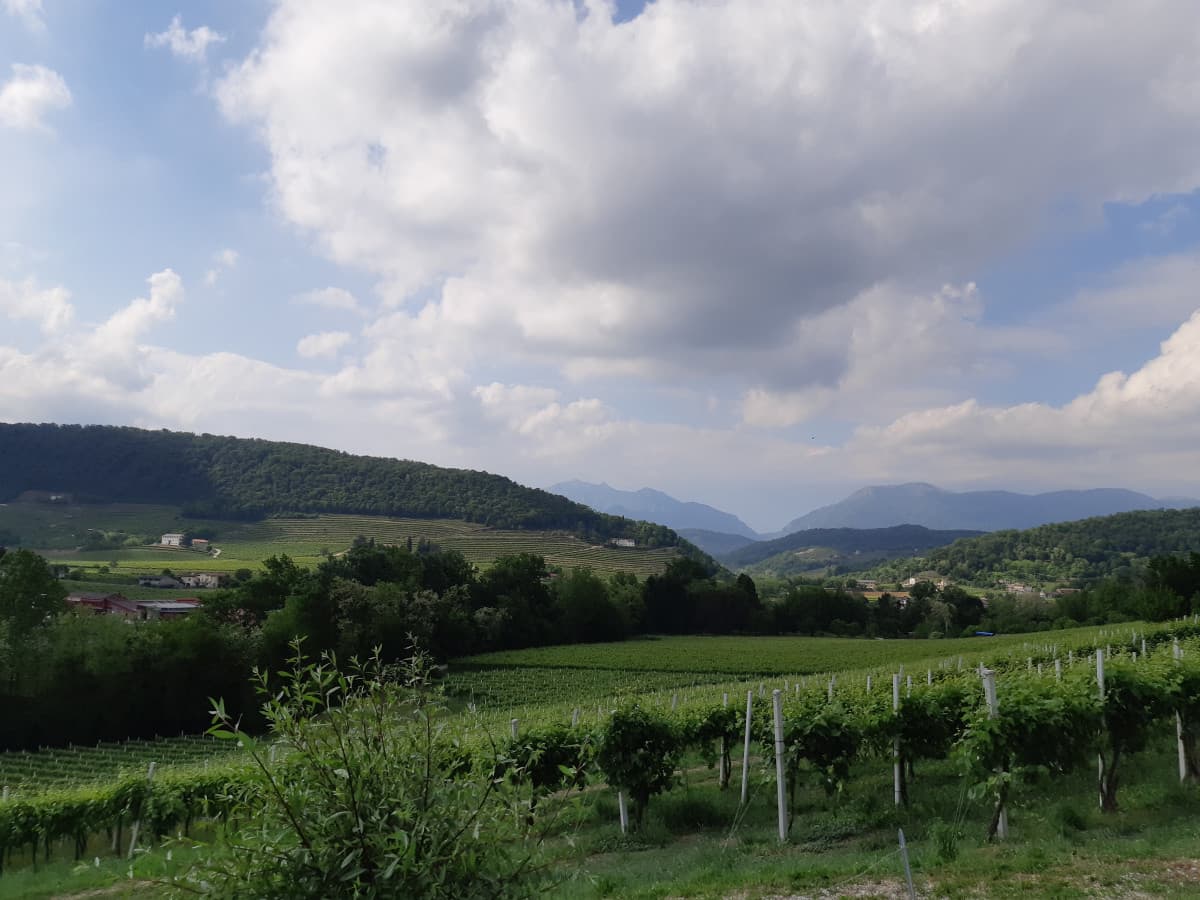 Le famose colline del Prosecco ??