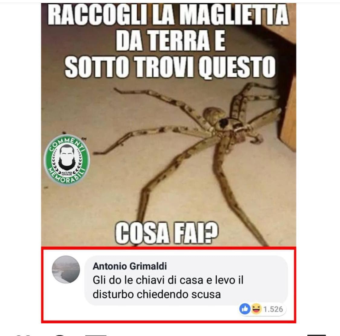 Spero non esista un ragno del genere