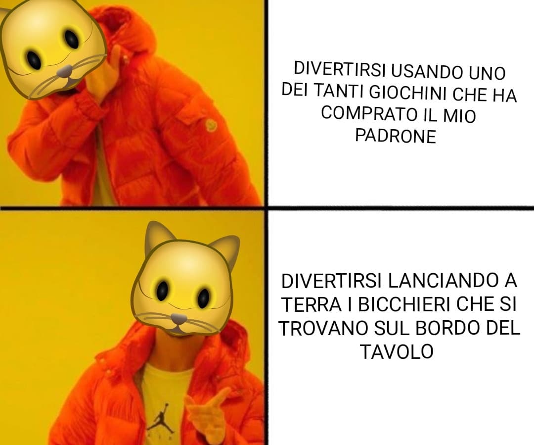 Logica gattesca 