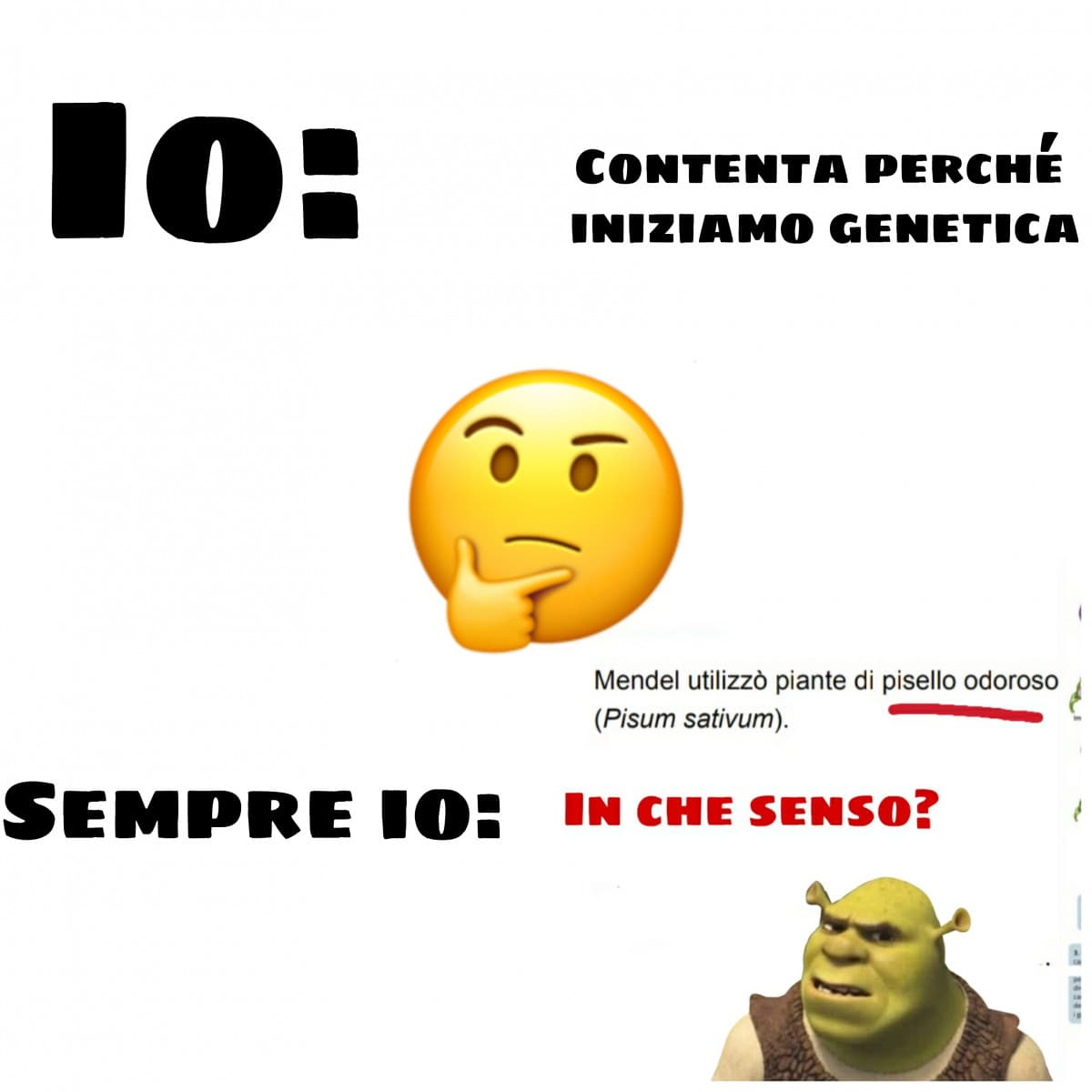 Io scioccata