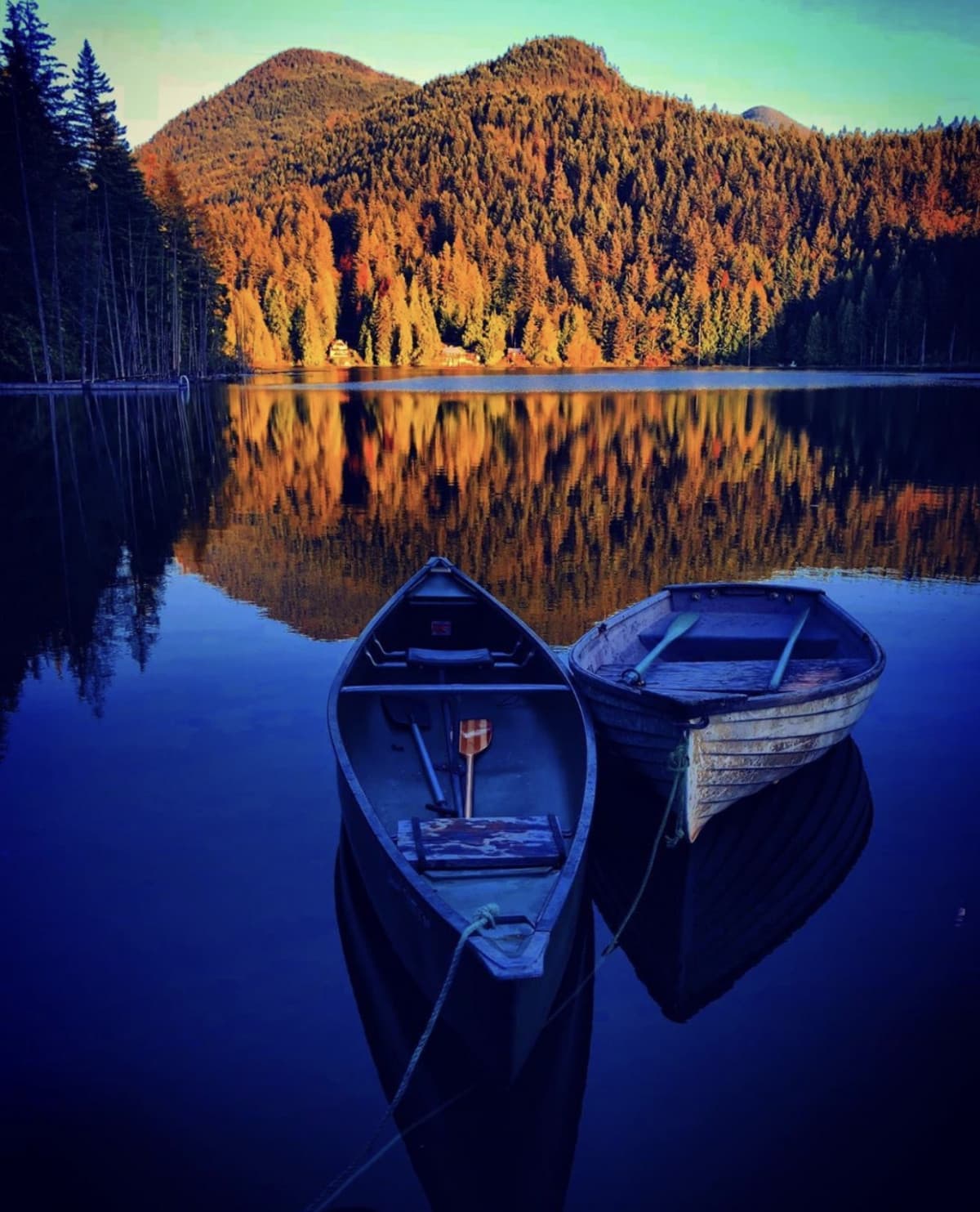 È ufficialmente iniziato l’autunno! ??