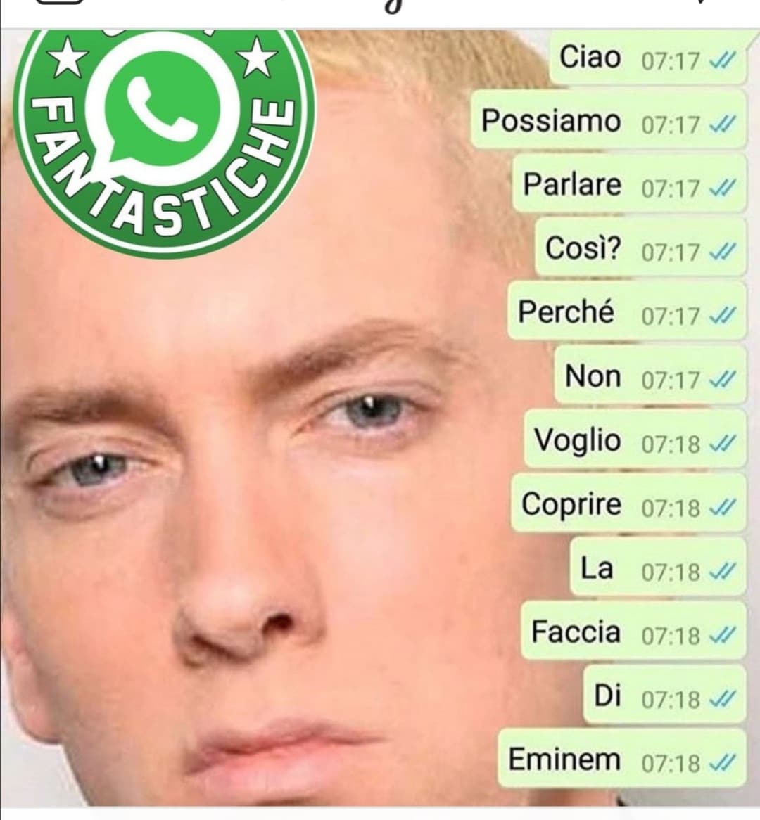 VIVA EMINEM , lui è un grande 