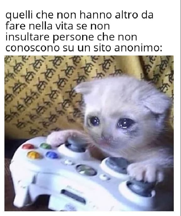 Certo che dovete avere una vita proprio triste 