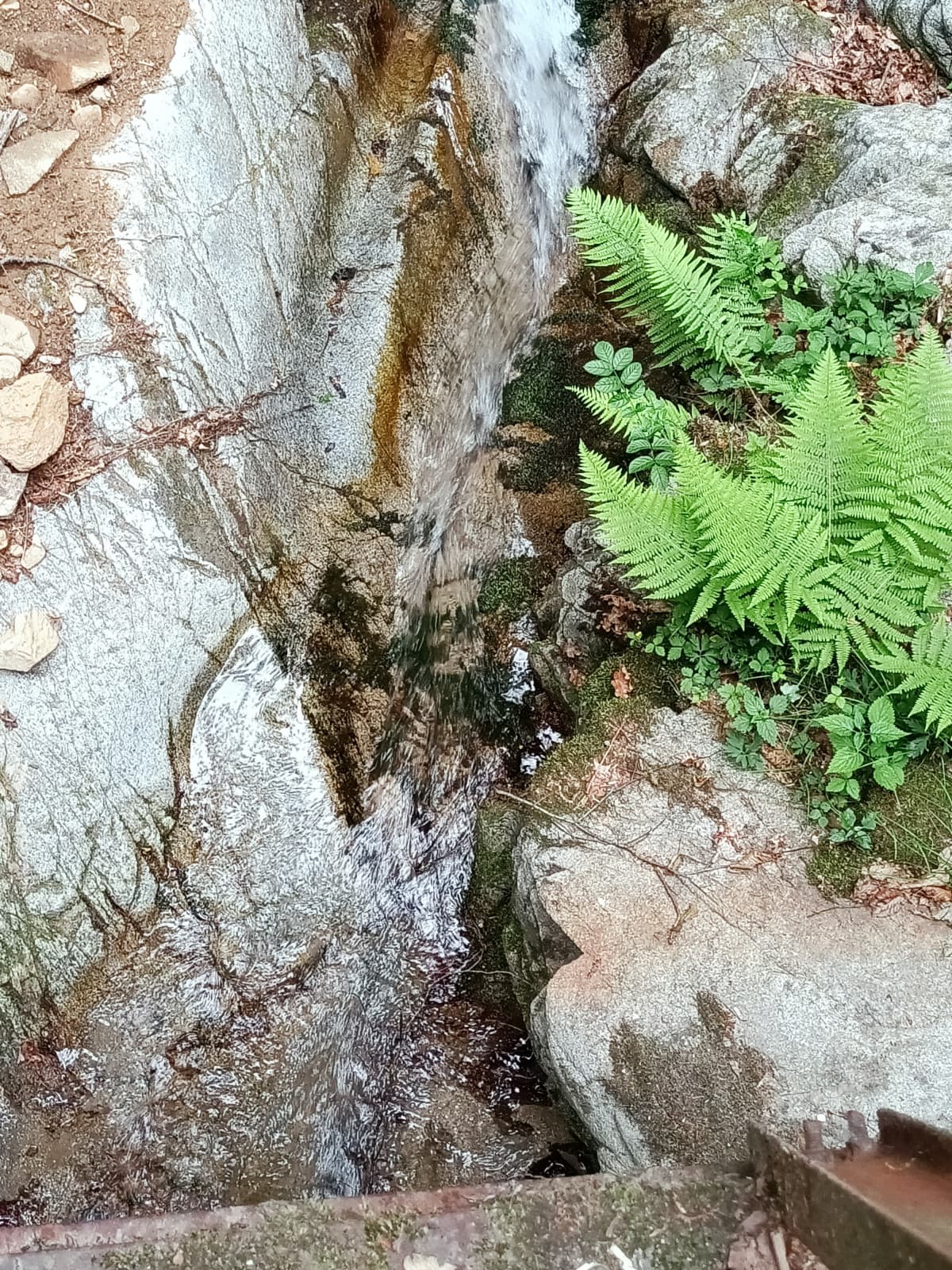 Povca bagascia si è messo a piovere. Ho dovuto rifugiarmi sotto agli alberi abbracciati per non prendermi un lavandino. Ora piove un po' di meno, magari riesco ad arrivare a casa