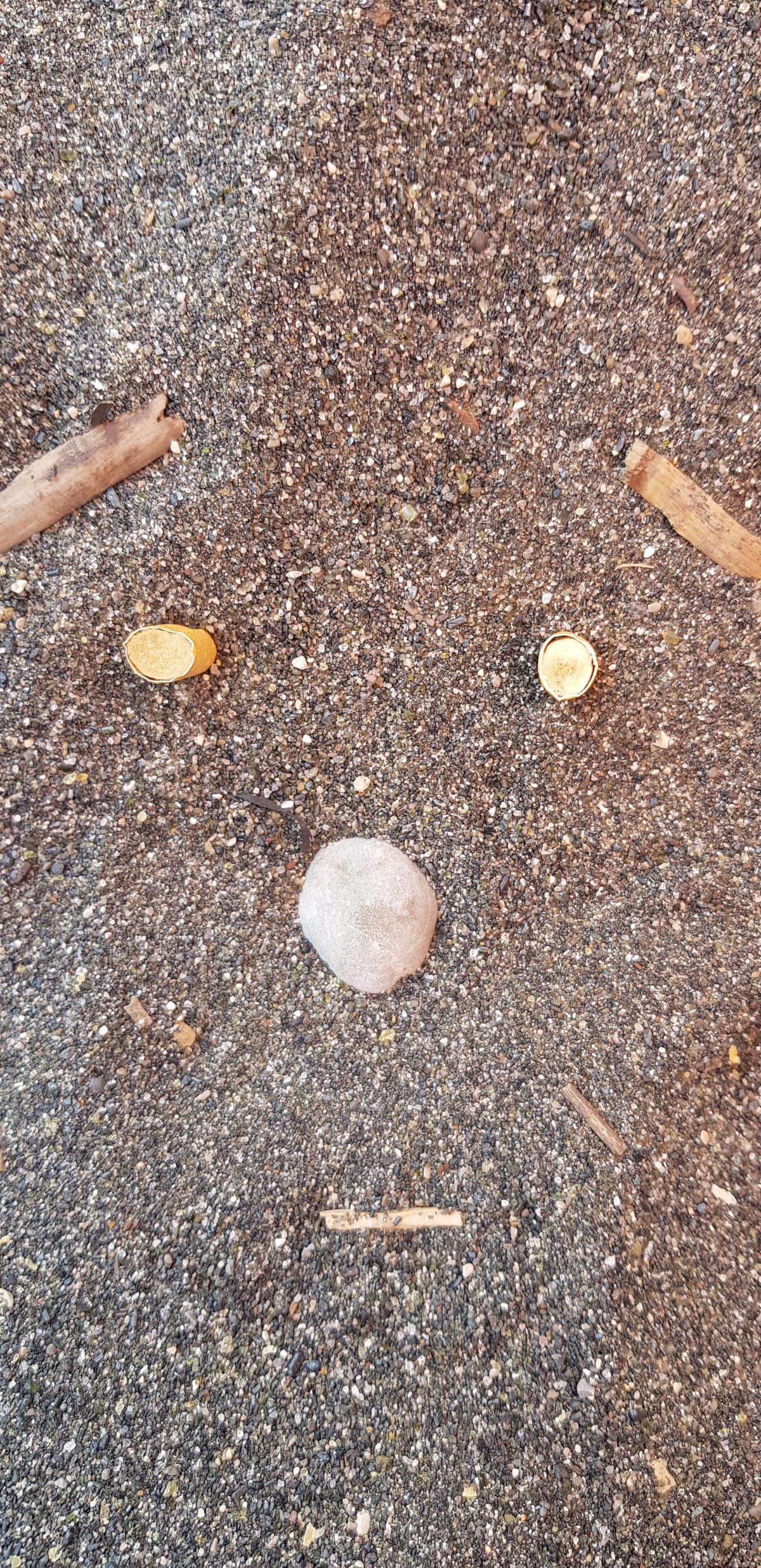 Sono in una spiaggia in cui solo nei primi 10 metriquadrati il peso medio è di 125kg. 