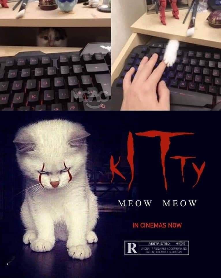 kITty 