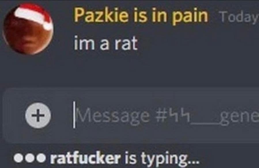 Rat