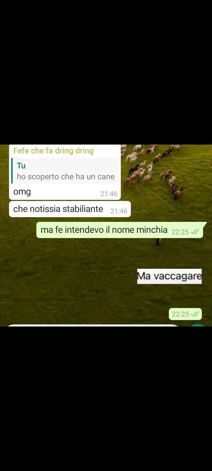 sono troppo permalosa , mi incazzo e insulto