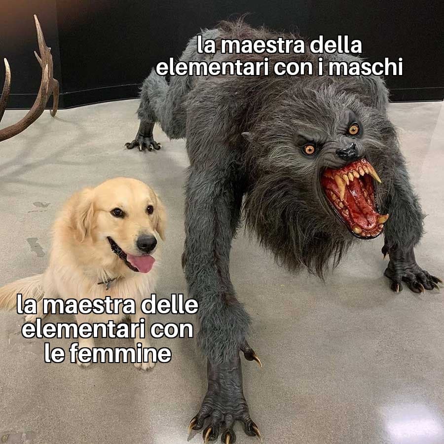 Solo io ho avuto maestre femministe alle elementari? 