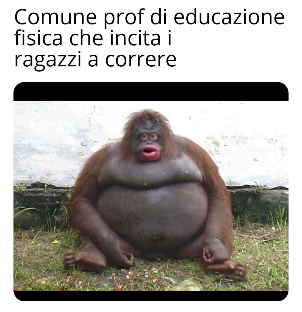 Prof non vi offendete