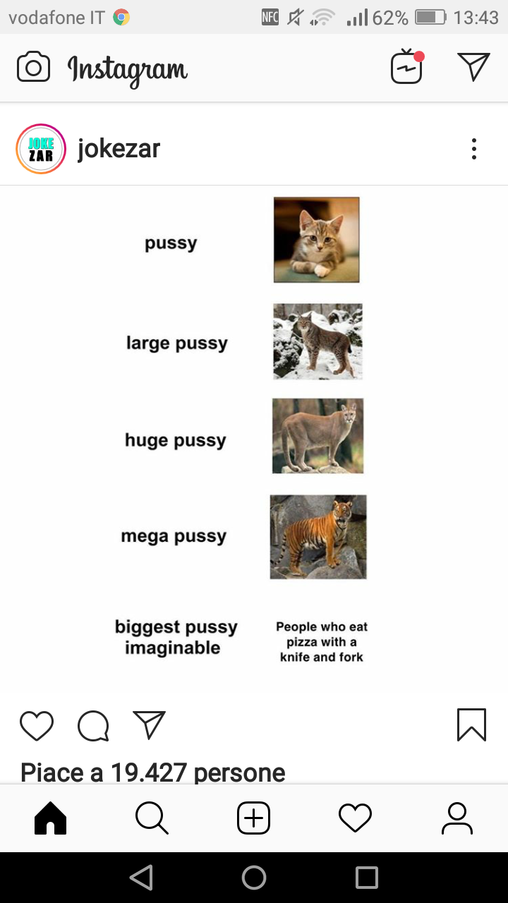 Pussy