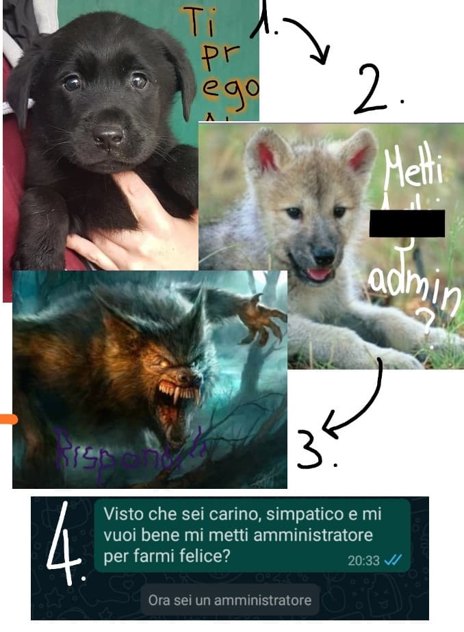 Io che cerco di convincere un tizio a mettermi admin in un gruppo