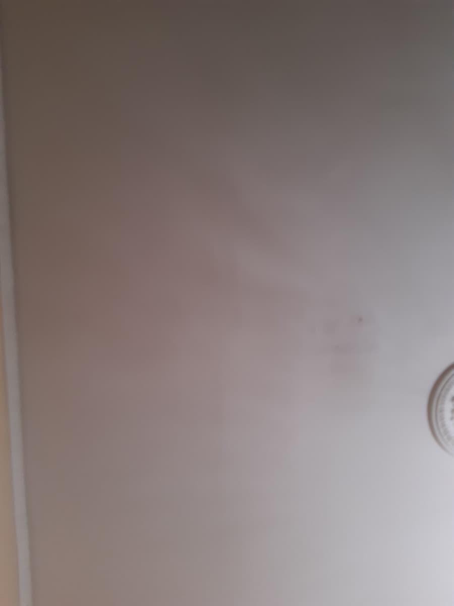 Ecco a voi il soffitto di mia nonna