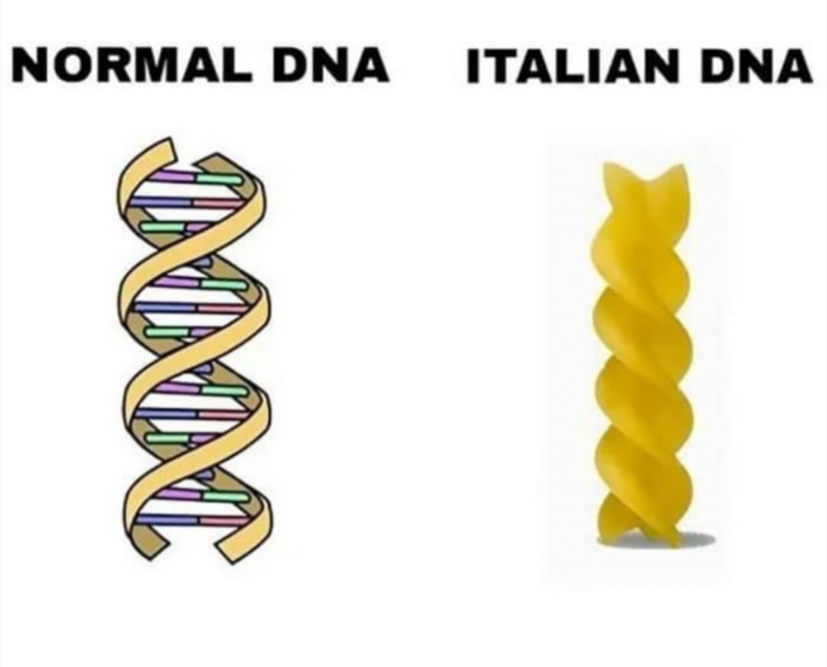 Ok basta meme sulla pasta