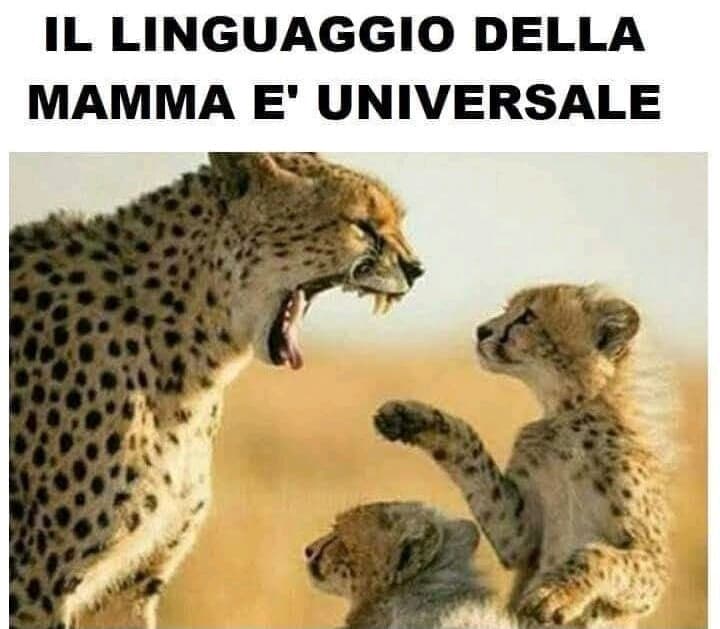 La mamma è pur sempre la mamma