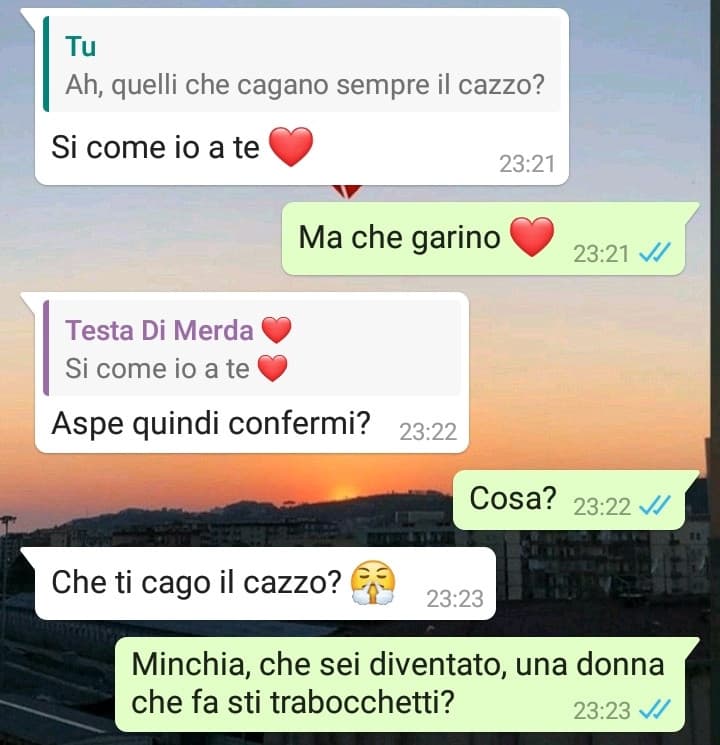 Manco io da ragazza permalosa faccio ste cose, sono illegali >:[