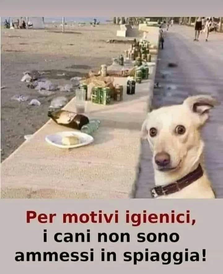 Non sono un animalista, ma...