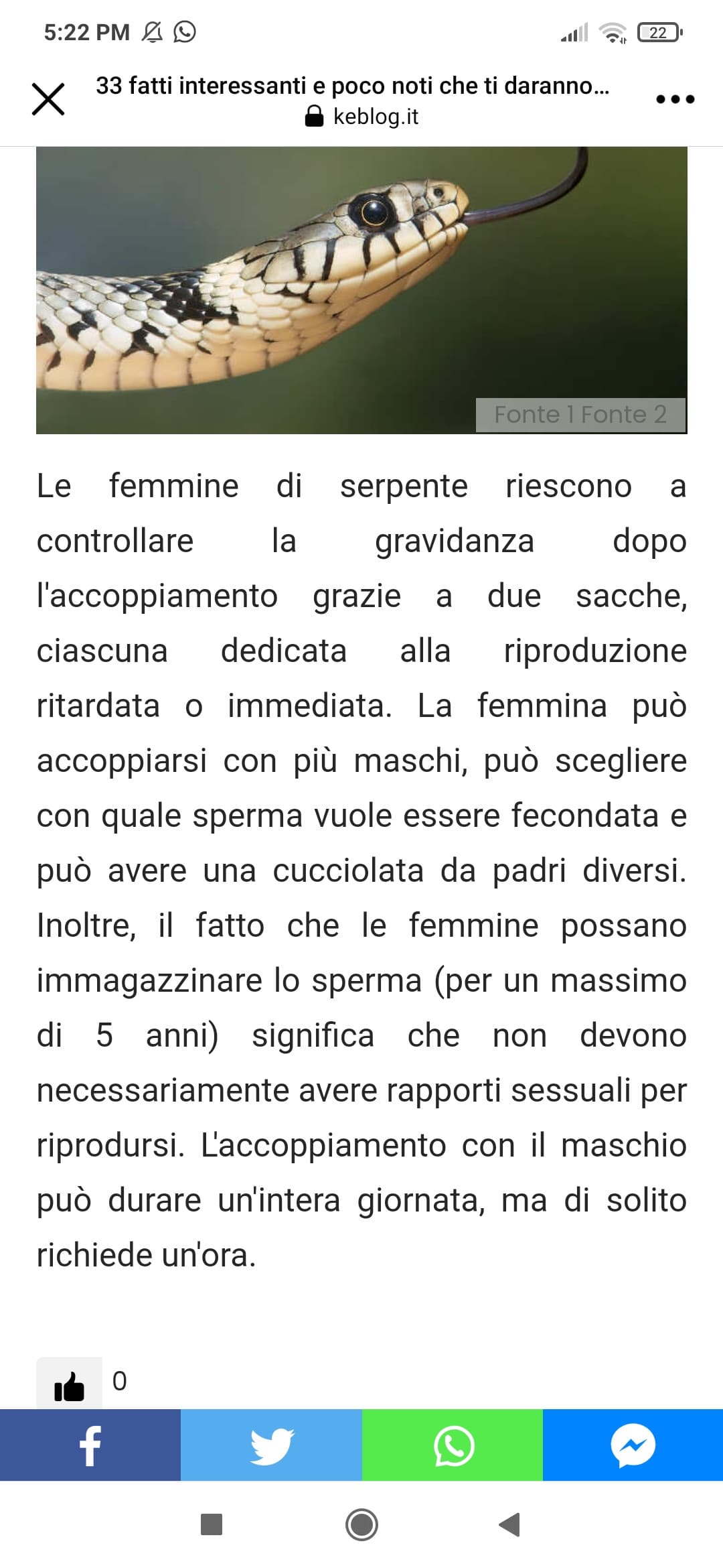 PERCHÉ LORO SI E NOI FIGLIE DI PUTTANA NO? AH? Natura troia. 