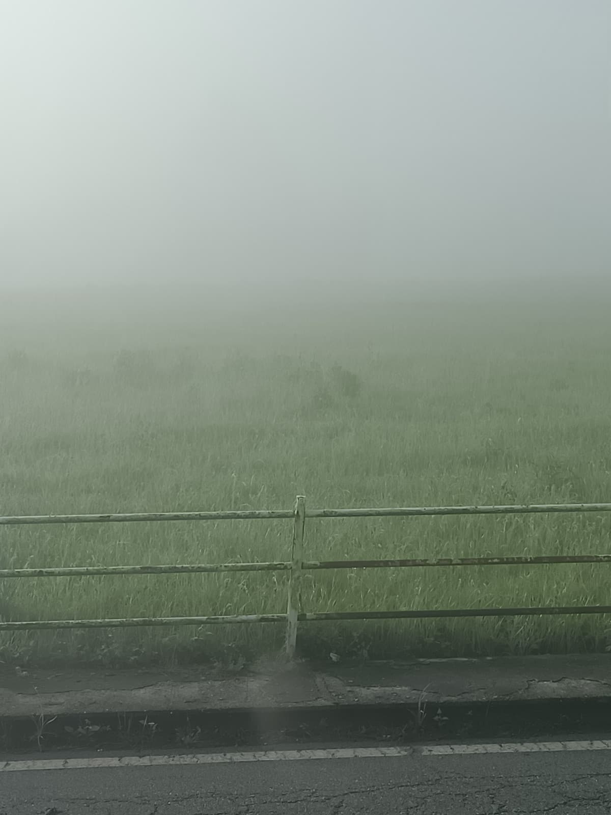 Mi sembra di abitare in pianura. Questo nebbione è un'offesa alla mia identità di piemontese