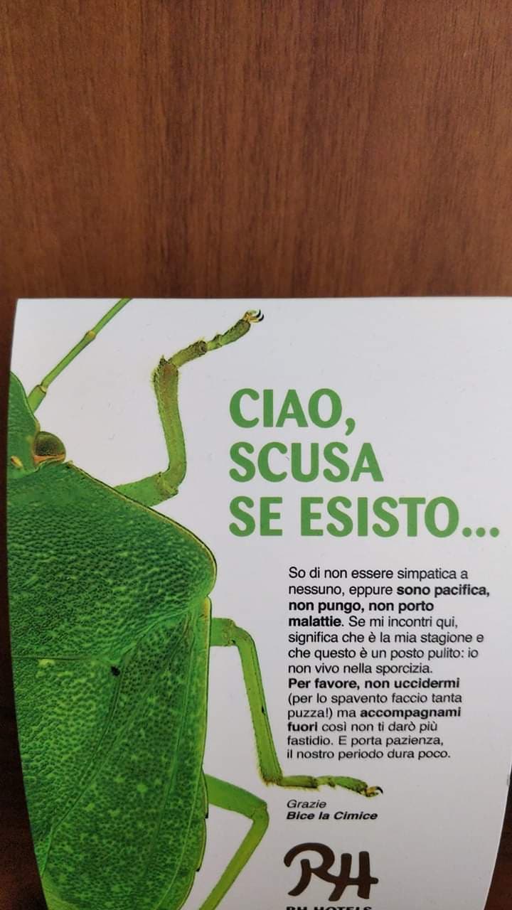 Queste scuse le aspettavo da tanto tempo bagarospo... 