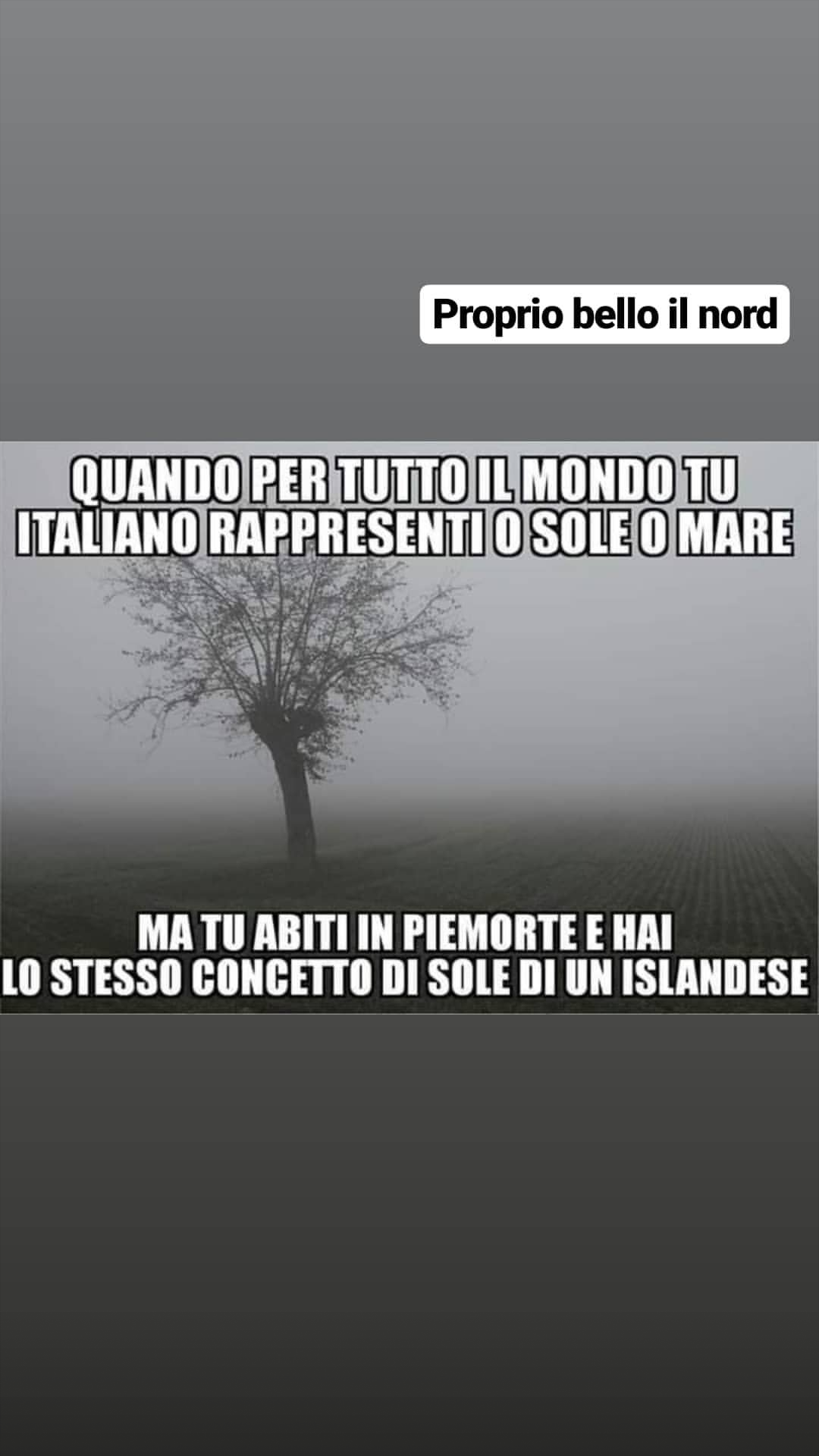 Pura verità