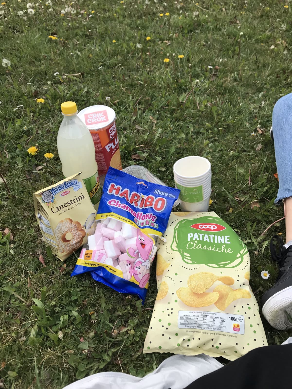 questa invece è la foto di me e la mia bestia siamo andati a fare i picnic per prima volta 