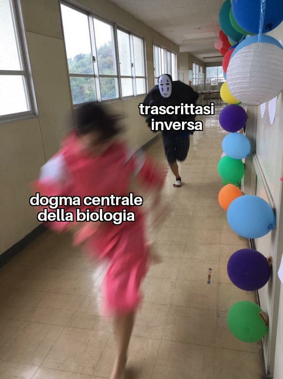 Quasi nessuno la capirà ma tanto quasi nessuno caga i miei post :)