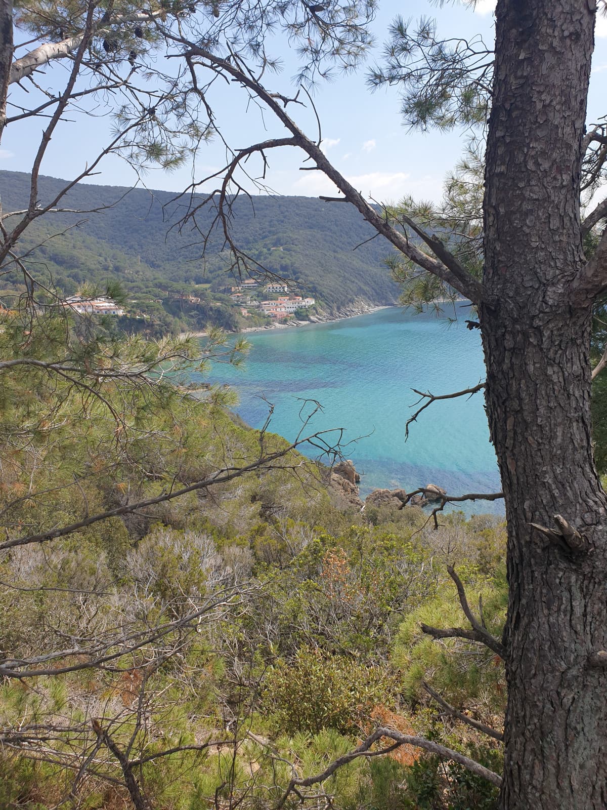 Comunque Isola d'Elba 11/10 devo ritornarci un giorno