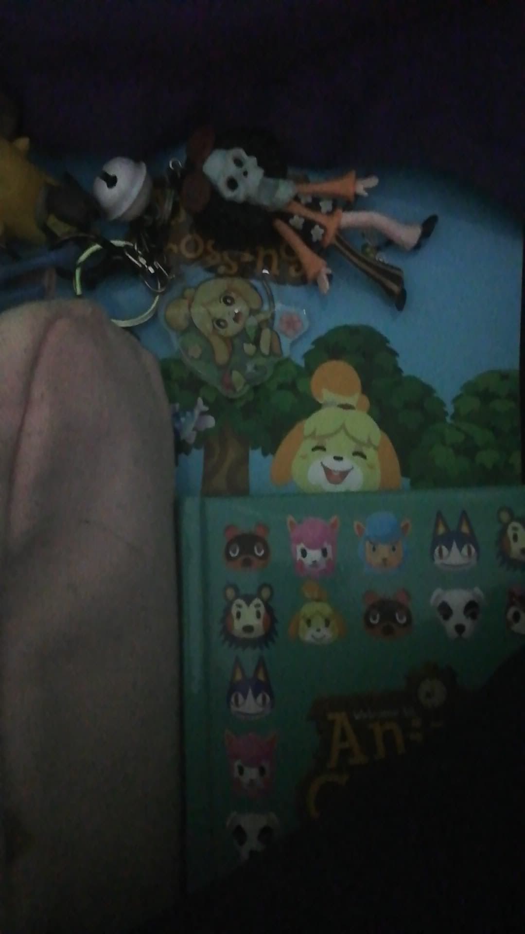 Io domani pronta a fare la figa con il mio piccolo merchandising di animal crossing