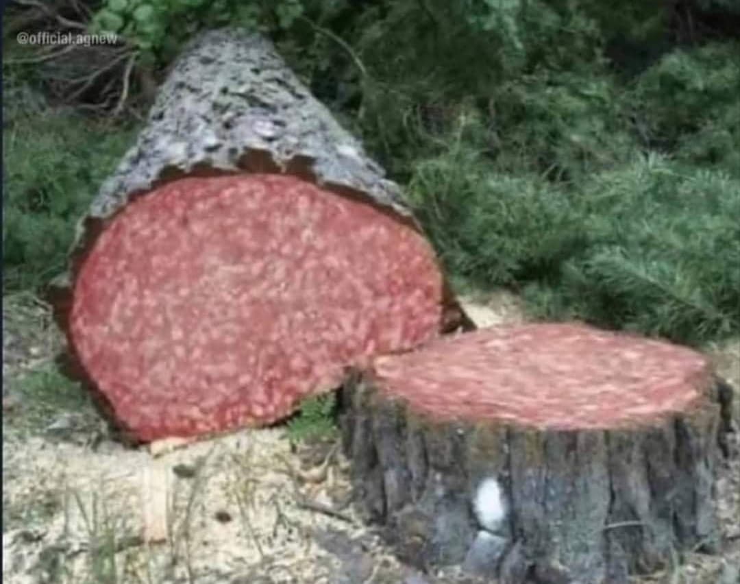 Spero che questa immagine faccia capire ai vegetariani quanto anche loro siano delle brutte persone 