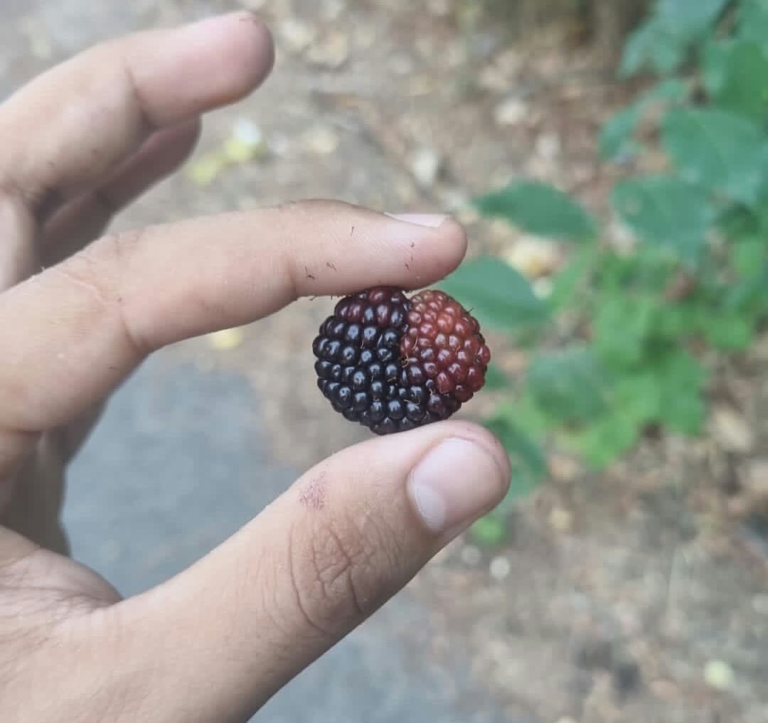 No ok alloras leggendo uno shout ho pensato Joel è un nome belisilismon pensavo se aveste figli come li chiamereste, anche quelli che odiano i bambini metteteb di averne ckme li chianeteste rispondete tutti TUTTI sono curiosa