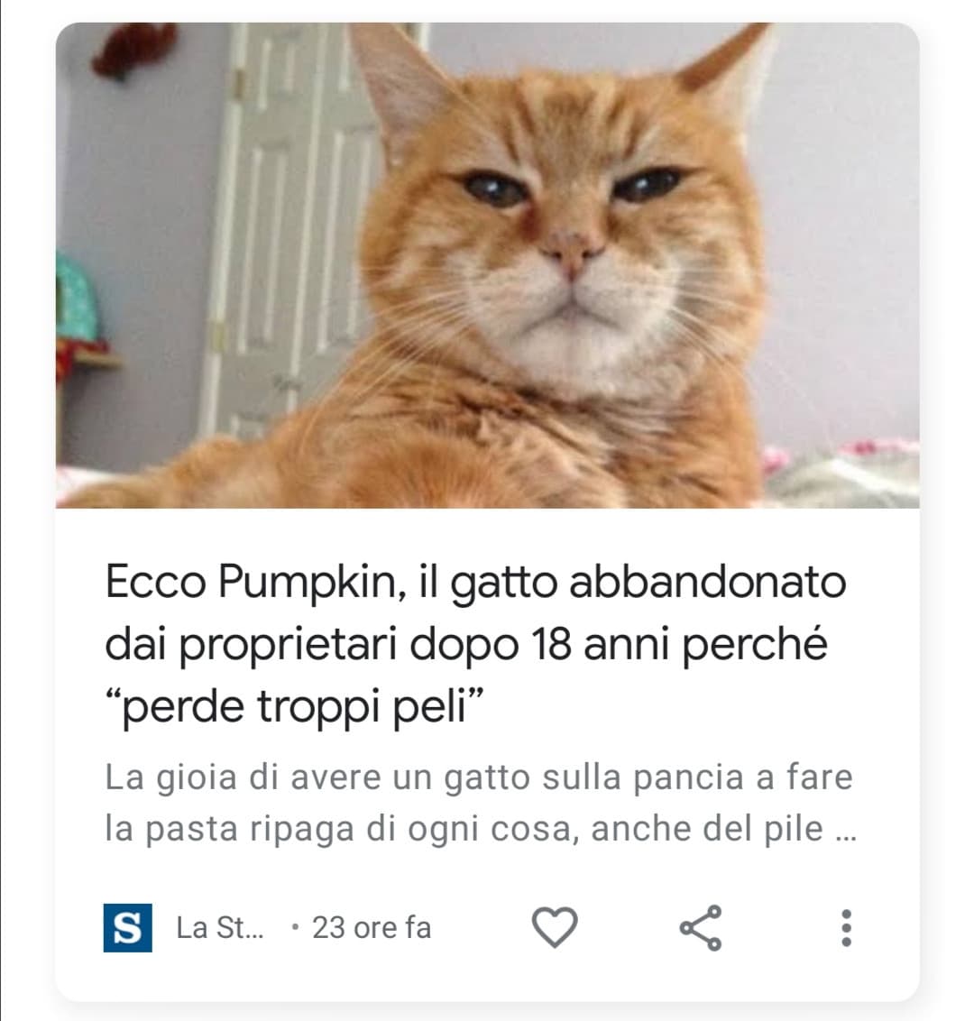 Ciao Pumpkin. 