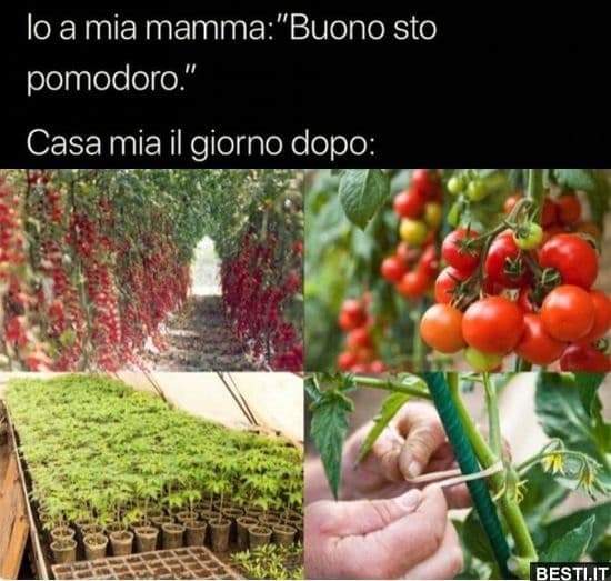 sempre...