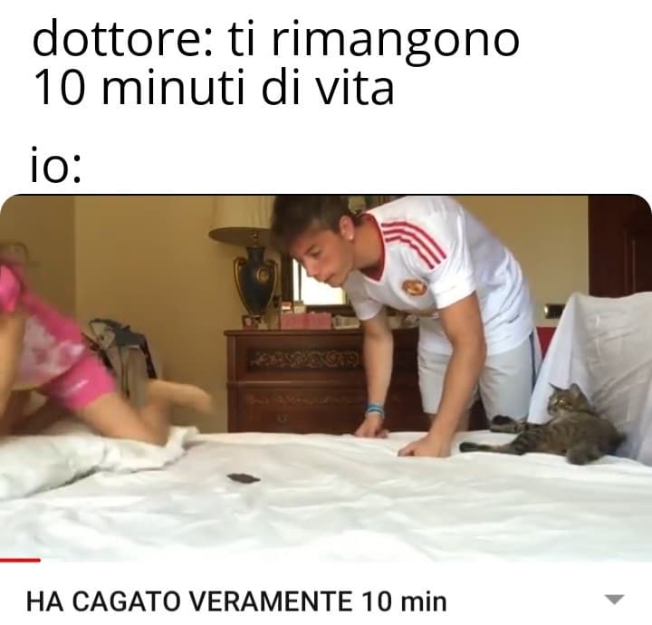 Ma ha cagado veramendee