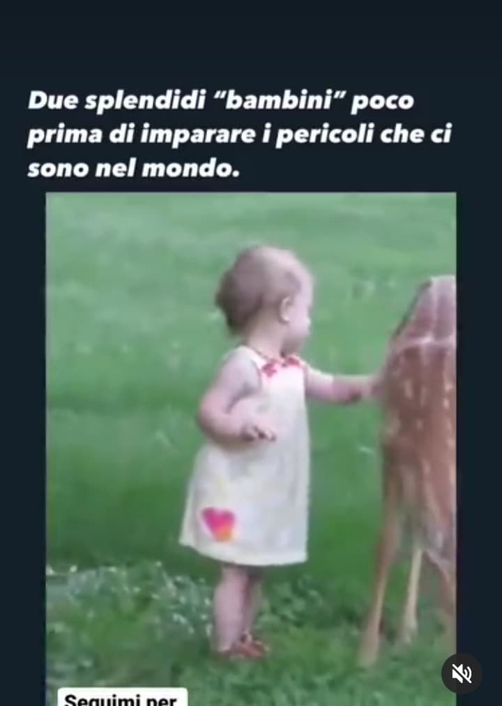 Va bene tutto, ma che seccede se la mamma dell'animale vede la bambina che lo tocca?