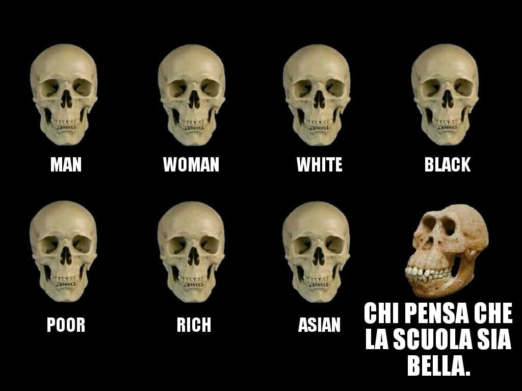 Non può non essere vero.