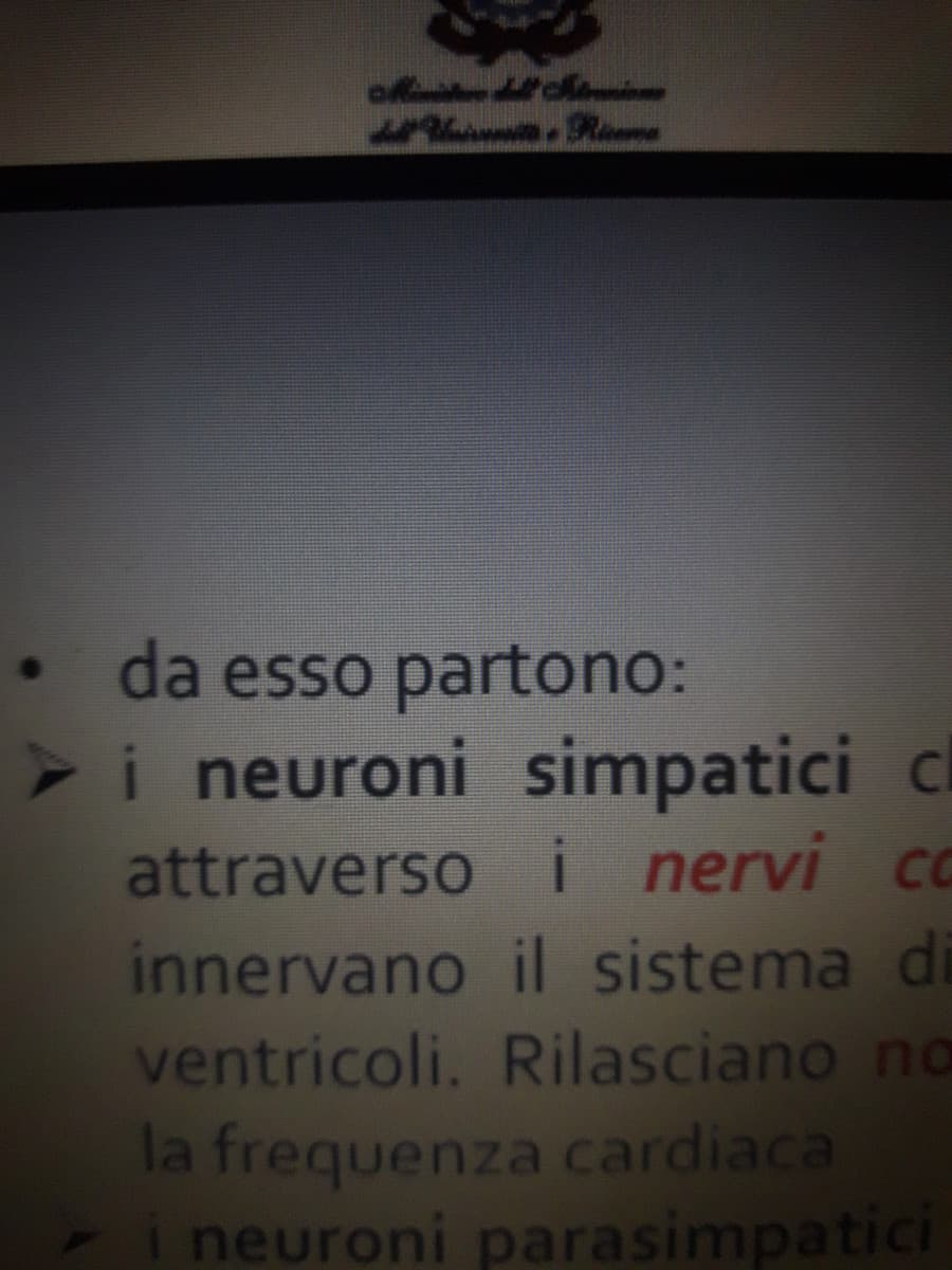 Quando ho iniziato a studiare Biomedica pensavo di non trovare nessuno di divertente...