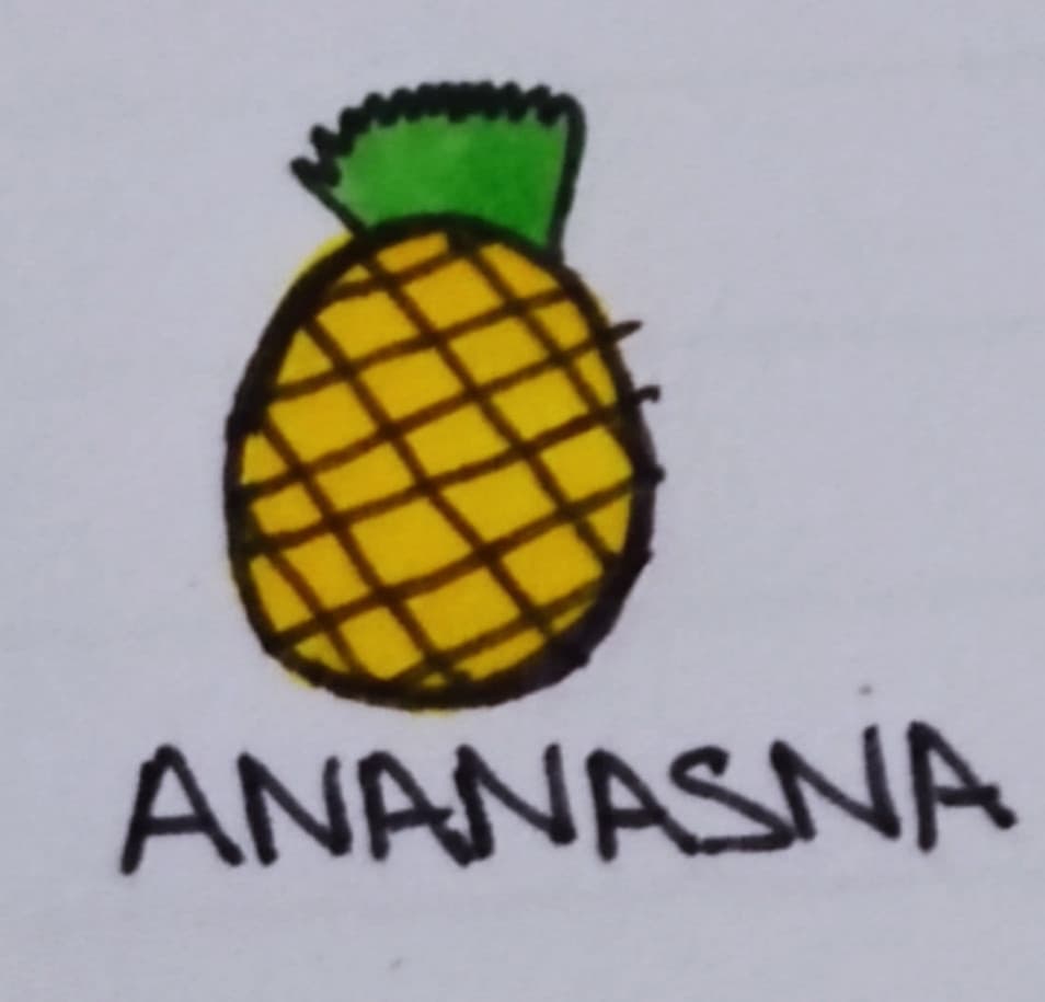 a n a n a s n a 