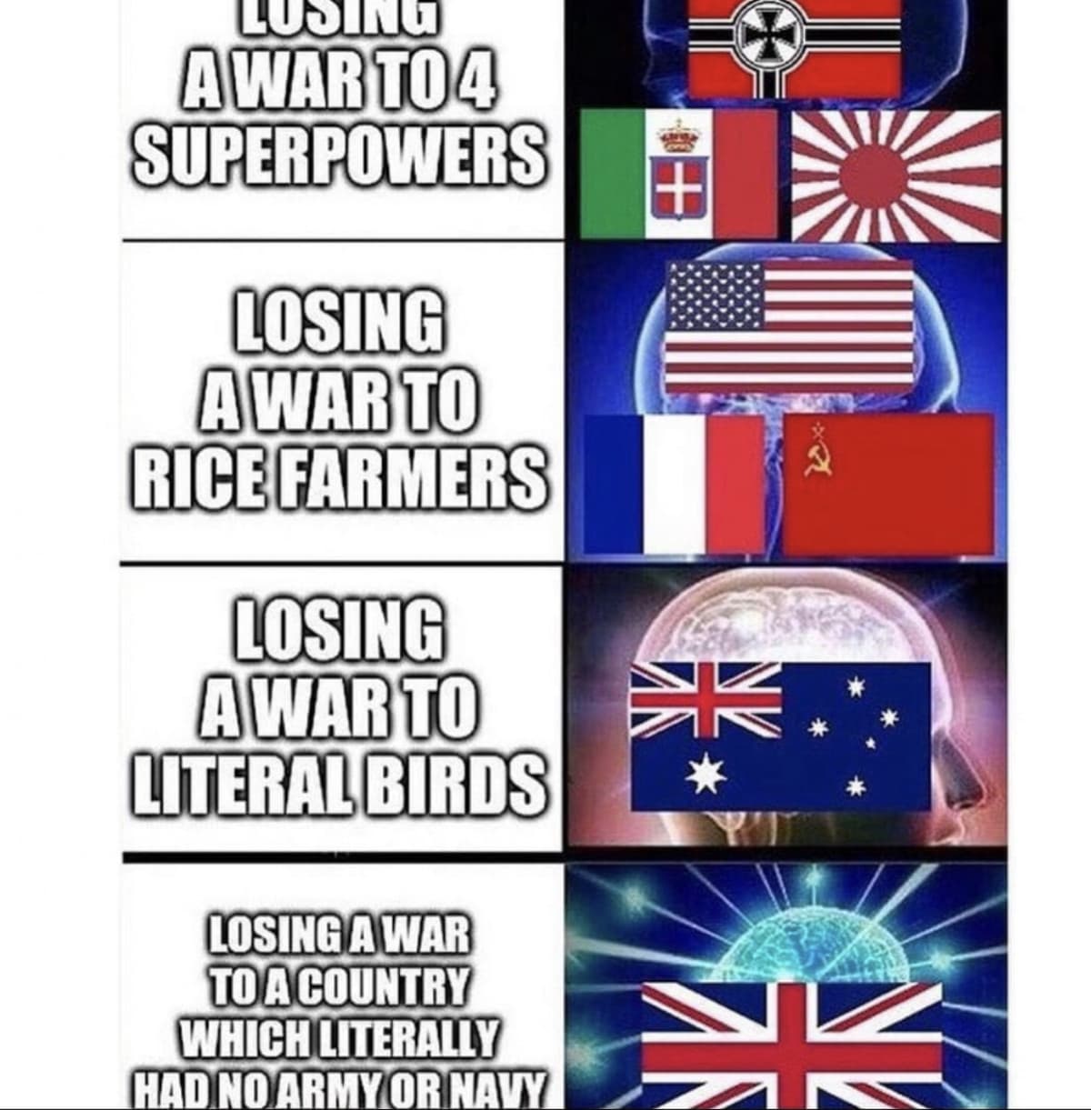 sì ok ma l’Australia che perde contro gli emu>>>>