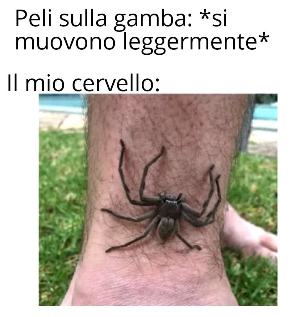 Anche voi avete questa sensazione?