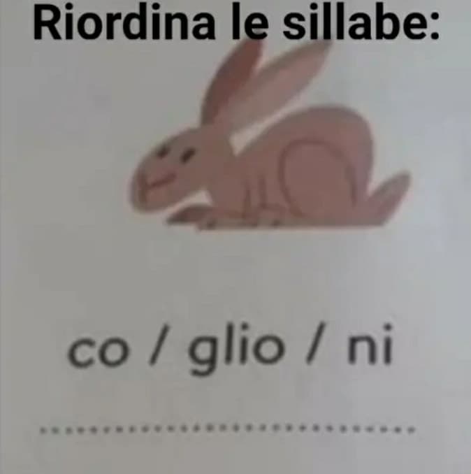 Ovviamente la risposta è coniglio??