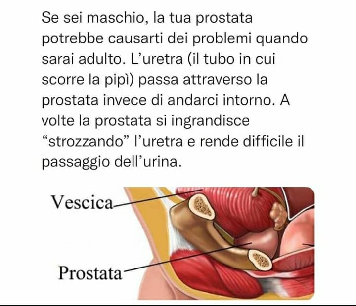 oh beh, adesso sappiamo che le pubblicità sulla prostata potrebbero servire